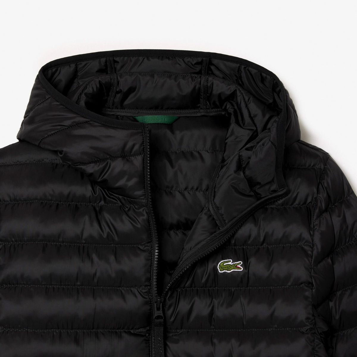 Parka Hombre Lacoste