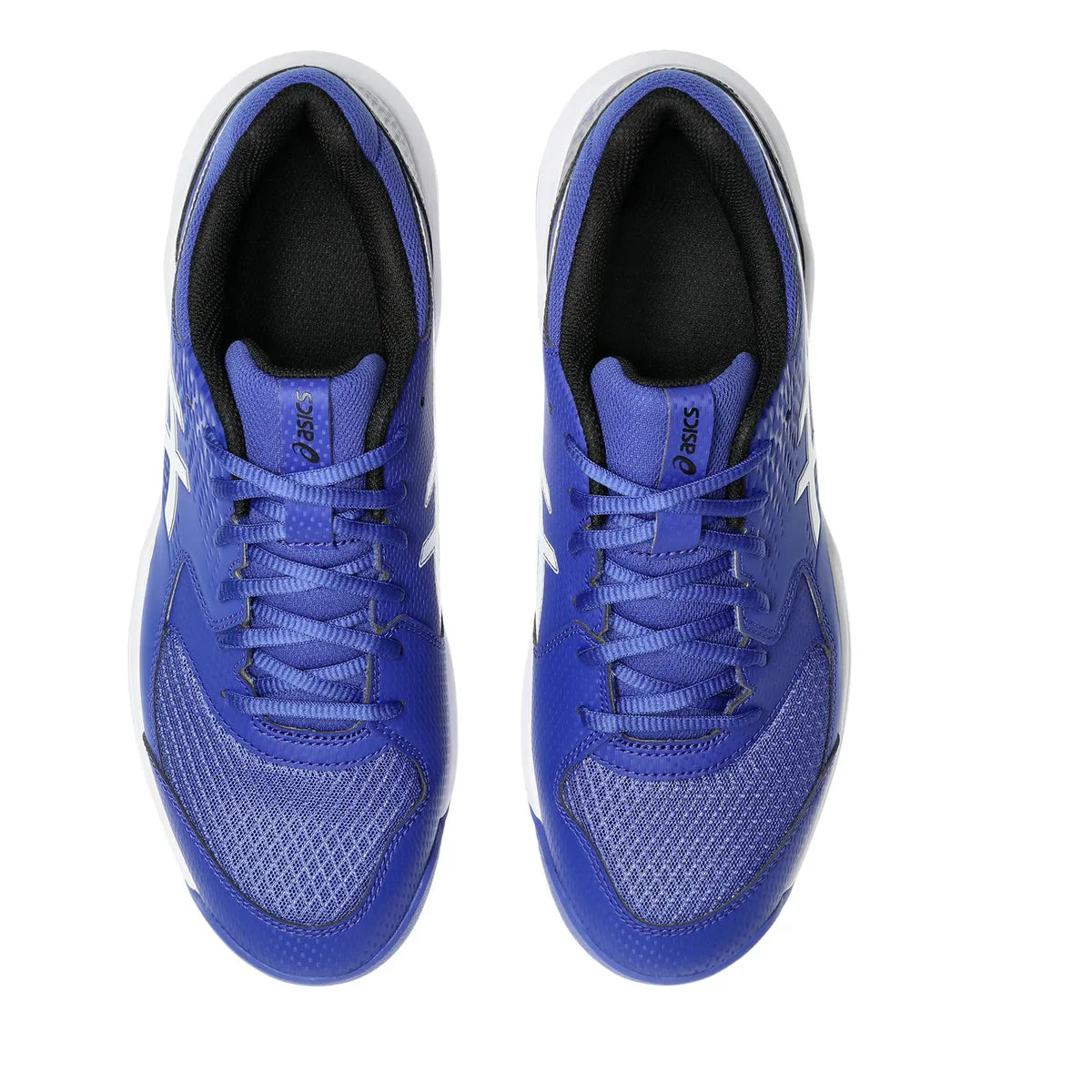 Gel-Dedicate 8 Clay Zapatilla Tenis Hombre Azul Asics